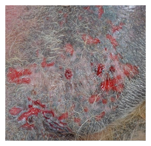 Details are in the caption following the image Details are in the caption following the image