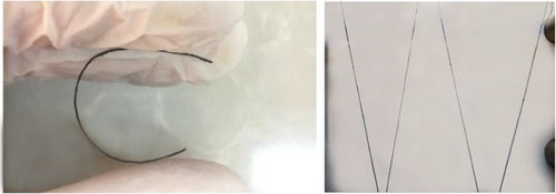 Details are in the caption following the image Details are in the caption following the image