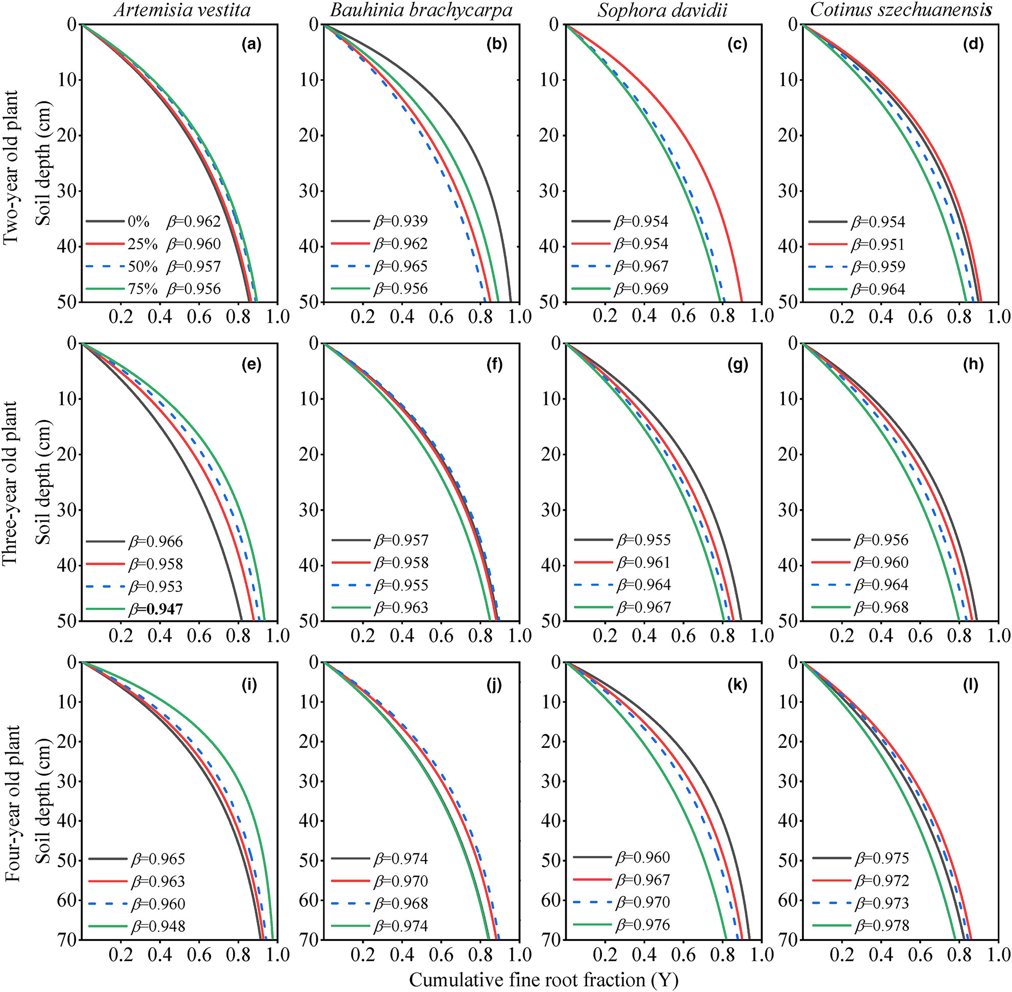 Shifting patterns in fine root distribution of four xerophytic species across soil structural gradients and years of growth