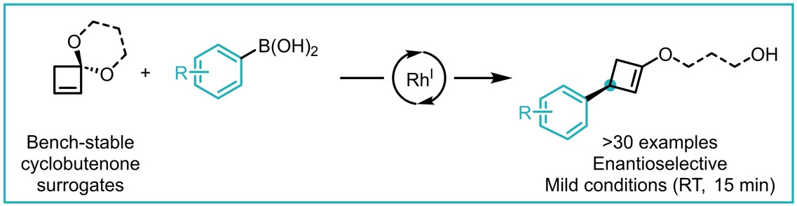 Rhodium-Catalyzed Asymmetric Arylation of Cyclobutenone Ketals