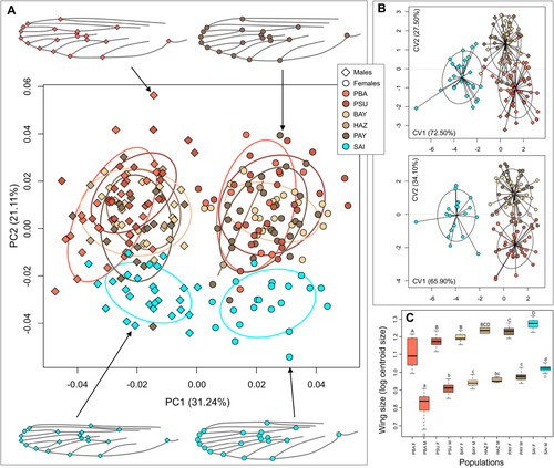 Details are in the caption following the image Details are in the caption following the image