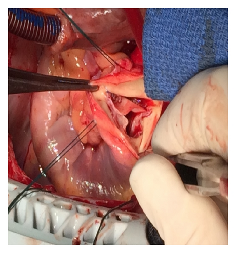 Details are in the caption following the image Details are in the caption following the image