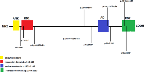 Details are in the caption following the image Details are in the caption following the image