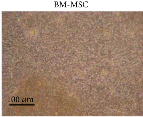 Details are in the caption following the image