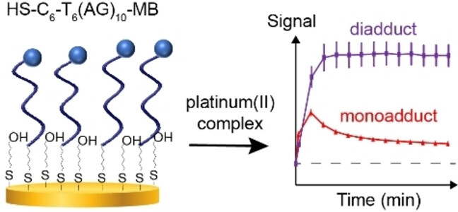 Nucleic Acid-based Electrochemical Sensors Facilitate the Study of DNA Binding by Platinum (II)-based Antineoplastics