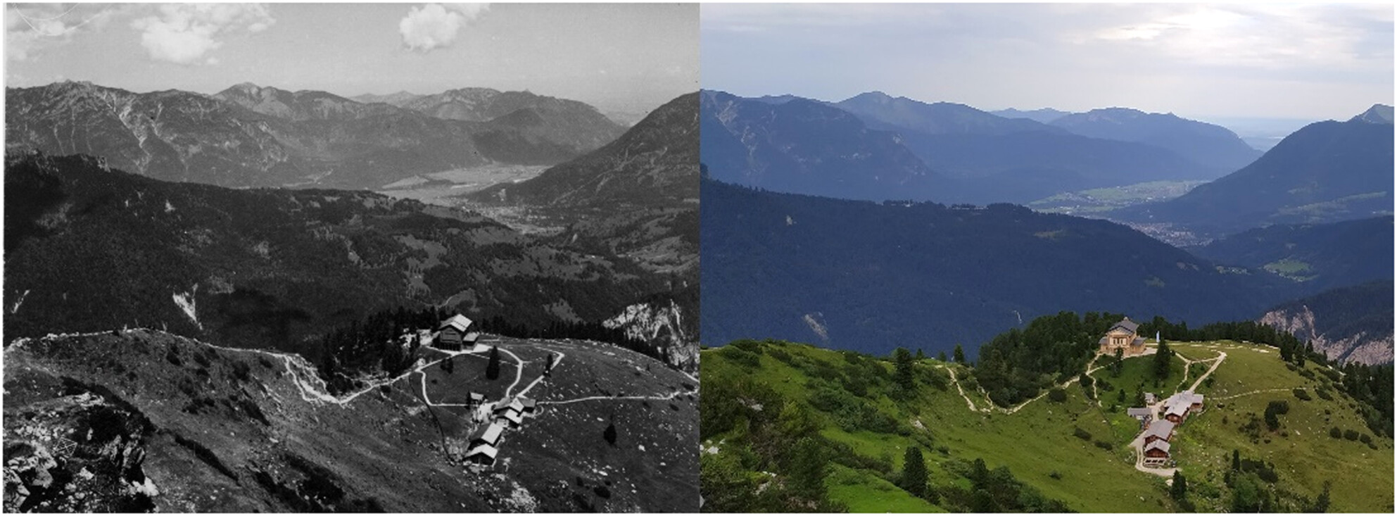 Subtle changes in plant diversity in the Bavarian Alps over the past eight decades