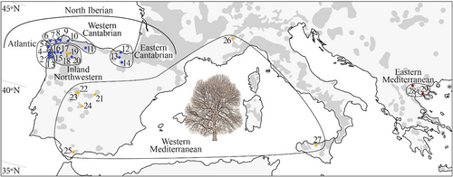 Details are in the caption following the image