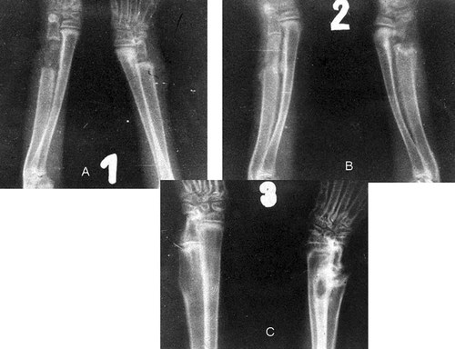 Details are in the caption following the image