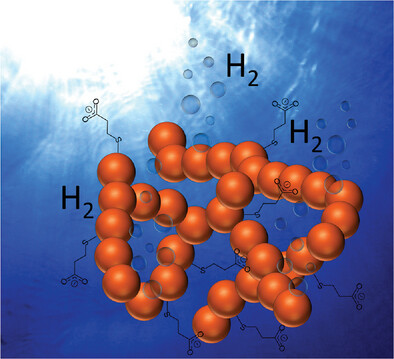 Investigation of the Photocatalytic Hydrogen Production of Semiconductor Nanocrystal-Based Hydrogels