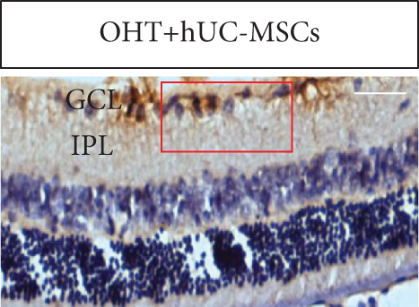 Details are in the caption following the image