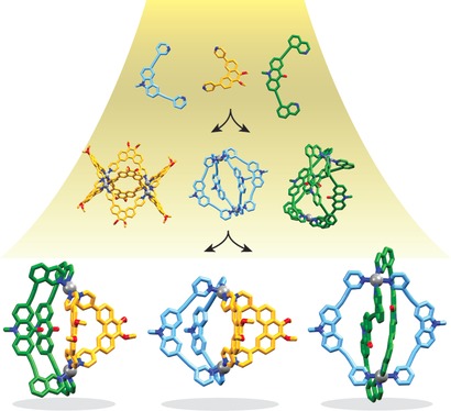 Morphologische Kontrolle von heteroleptischen cis- und trans-Pd2L2L′2-Käfigen