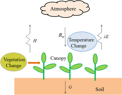 The sensitivity of global surface air temperature to vegetation greenness Issue 1, 2021
