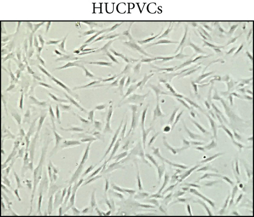 Details are in the caption following the image