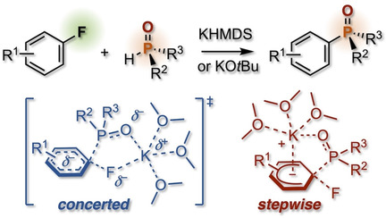 Phosphinylation of Non-activated Aryl Fluorides through Nucleophilic Aromatic Substitution at the Boundary of Concerted and Stepwise Mechanisms