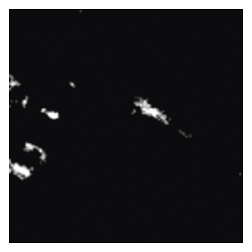 Details are in the caption following the image