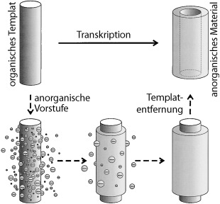 Organische Template zur Formgebung anorganischer Materialien