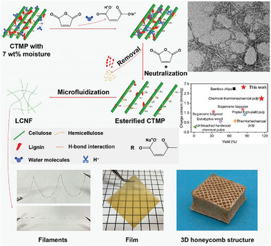 Equilibrium Moisture Mediated Esterification Reaction to Achieve Over 100% Lignocellulosic Nanofibrils Yield