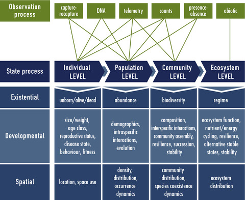 Uncovering ecological state dynamics with hidden Markov models