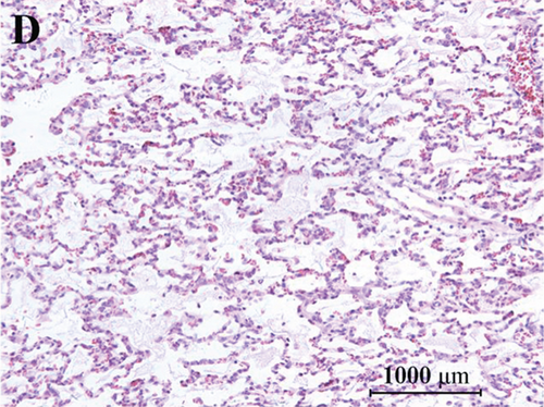 Details are in the caption following the image