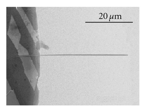 Details are in the caption following the image
