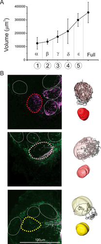 Details are in the caption following the image Details are in the caption following the image