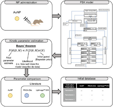 Physiologically-Based Kinetic Modeling of Intravenously Administered Gold (Au) Nanoparticles