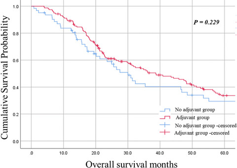 Does adjuvant treatment improve prognosis after curative resection of ampulla of Vater carcinoma? A multicenter retrospective study