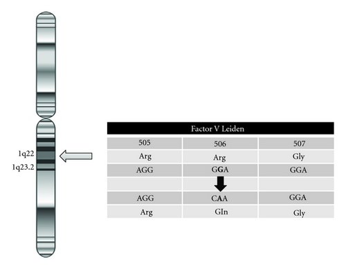 Details are in the caption following the image