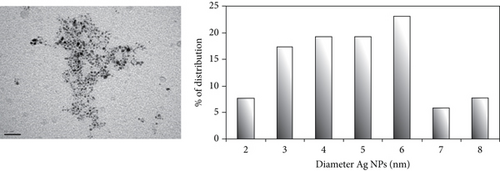 Details are in the caption following the image Details are in the caption following the image