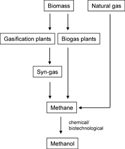 Use of Renewable Raw Materials in the Chemical Industry – Beyond Sugar and Starch