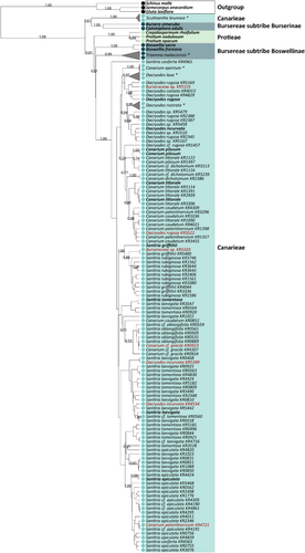 Details are in the caption following the image Details are in the caption following the image
