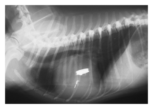 Details are in the caption following the image Details are in the caption following the image