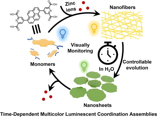 Evolution of Supramolecular Coordination Assemblies Visually Monitored by Time-Dependent Multicolor Fluorescence