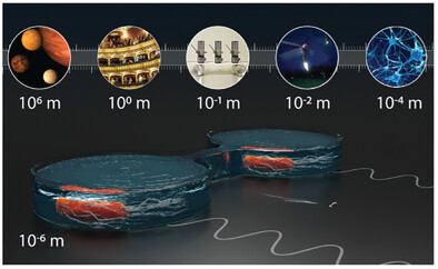 Synchronization of E. coli Bacteria Moving in Coupled Microwells