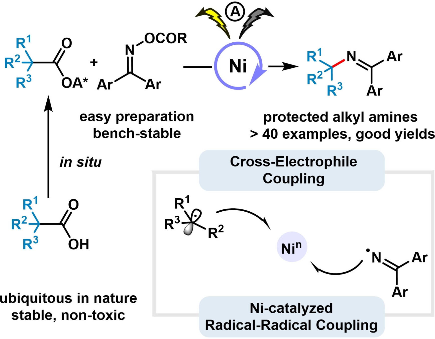 Electrochemical Ni-Catalyzed Decarboxylative C(sp3)−N Cross-Electrophile Coupling