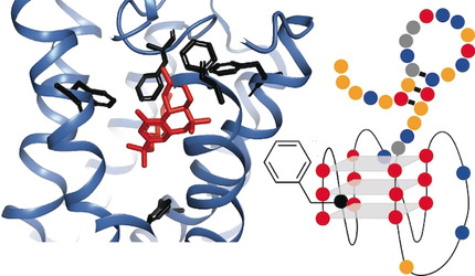 A Receptor-Guided Design Strategy for Ligand Identification