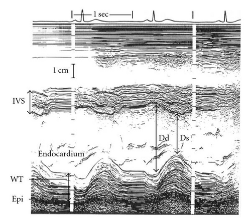 Details are in the caption following the image Details are in the caption following the image