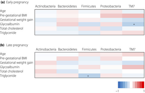 Association between gut microbiota composition and glycoalbumin level during pregnancy in Japanese women: Pilot study from Chiba Study of Mother and Child Health