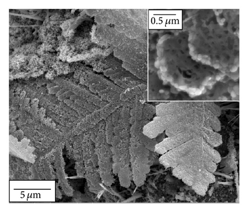 Details are in the caption following the image