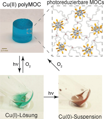Photoswitchable Sol–Gel Transitions and Catalysis Mediated by Polymer Networks with Coumarin-Decorated Cu24L24 Metal–Organic Cages as Junctions