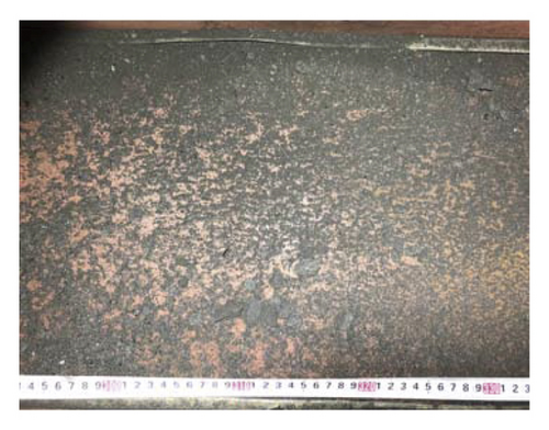 Details are in the caption following the image Details are in the caption following the image