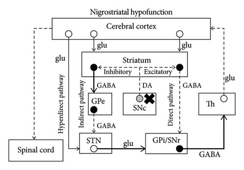 Details are in the caption following the image Details are in the caption following the image