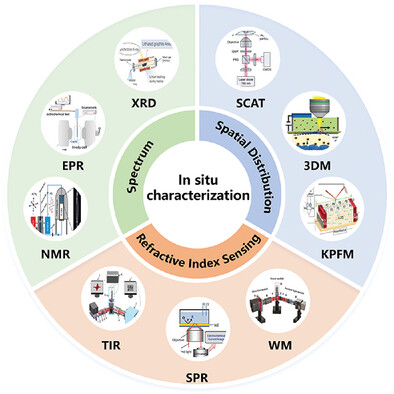 Electrochemical In Situ Characterization Techniques in the Field of Energy Conversion