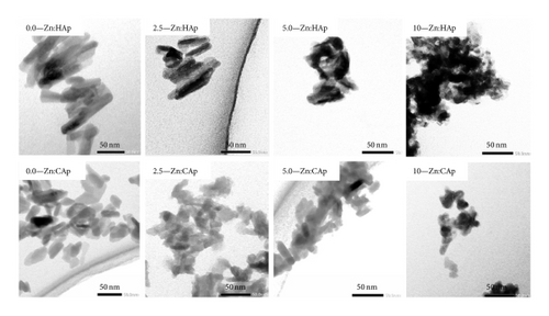Details are in the caption following the image