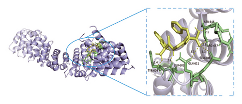 Details are in the caption following the image