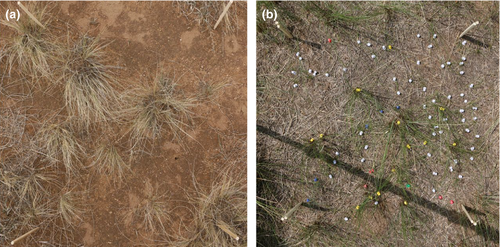 Details are in the caption following the image Details are in the caption following the image