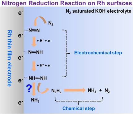 A Spectroscopic Study of Electrochemical Nitrogen and Nitrate Reduction on Rhodium Surfaces