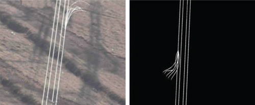 Details are in the caption following the image