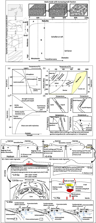 Migmatite rheology of crustal catazone: An example from the SSE part of T. Sundupalle granite-greenstone terrain, Eastern Dharwar Craton, India