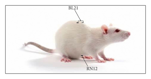 Details are in the caption following the image Details are in the caption following the image